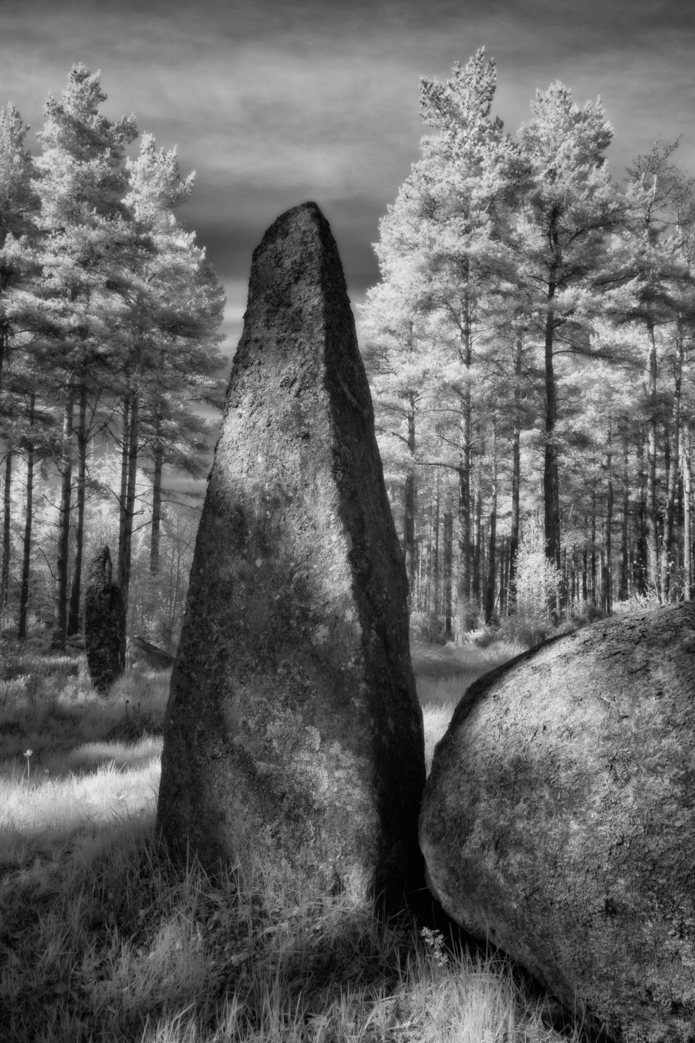 Cothiemuir Wood Stone Circle, Aberdeenshire, Scotland.